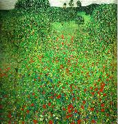 vallmofalt Gustav Klimt